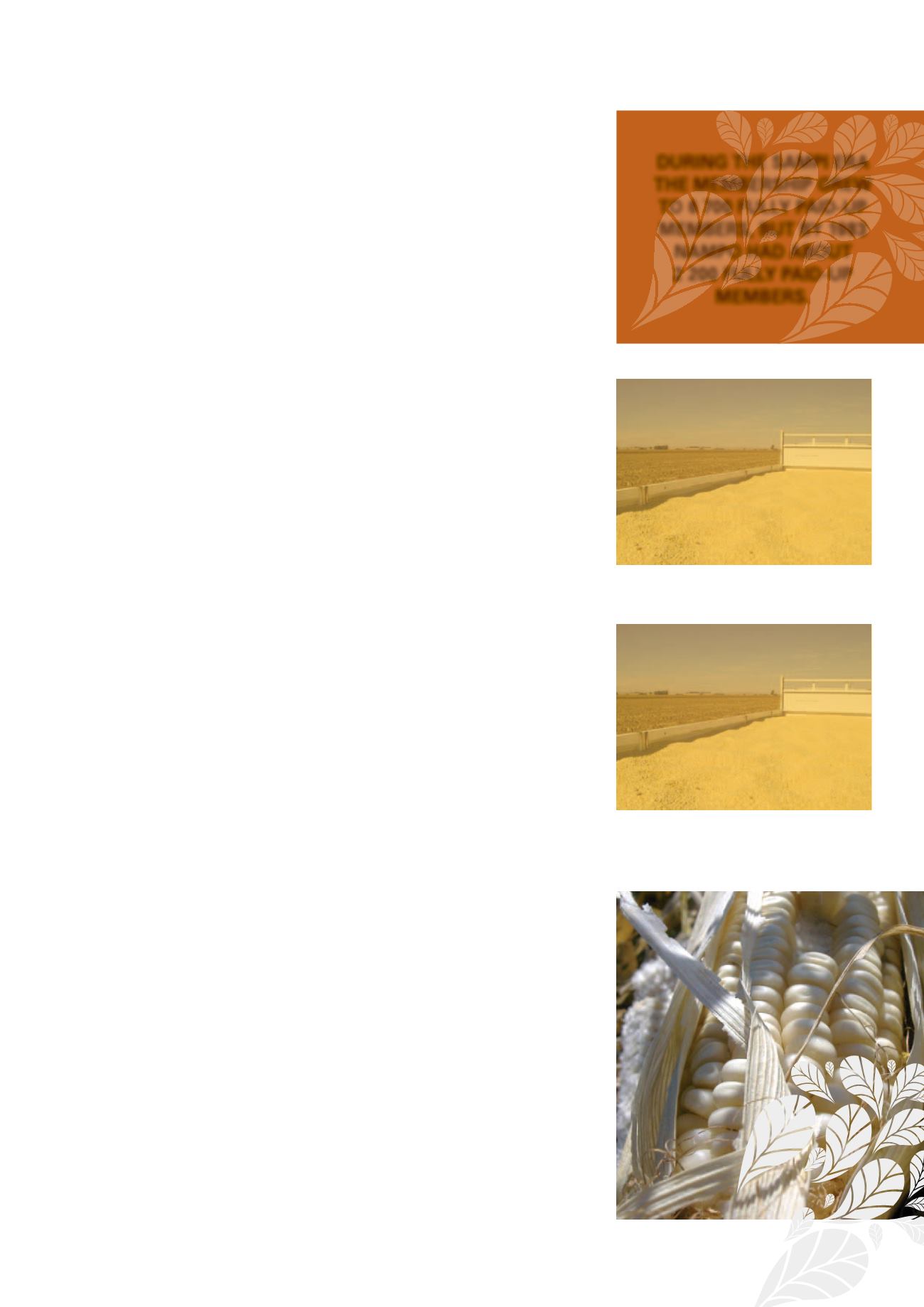 Page Background