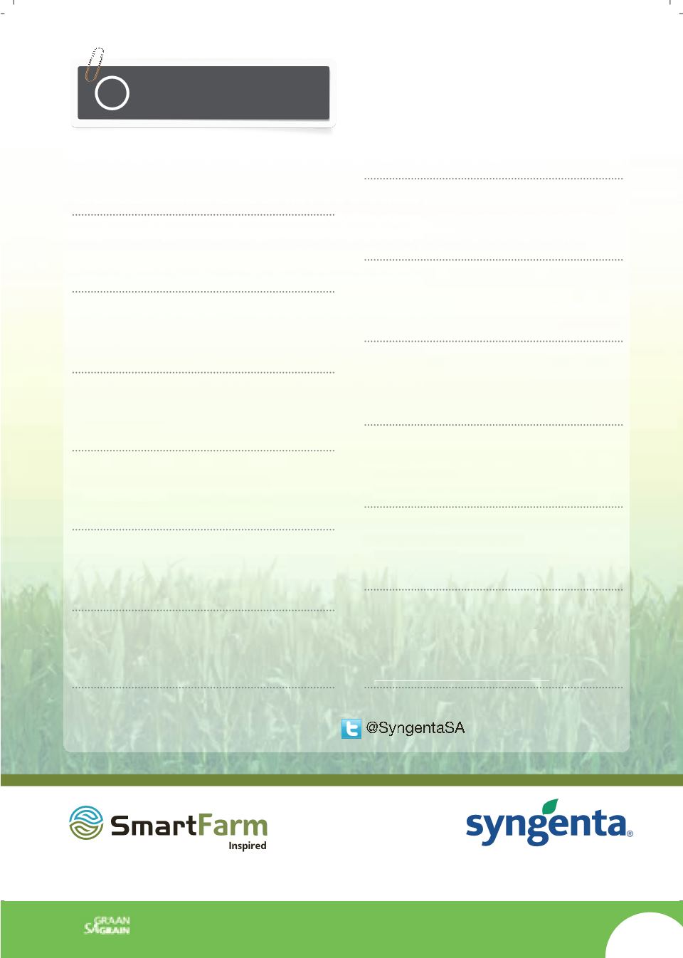 Page Background