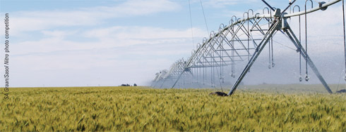 irrigation