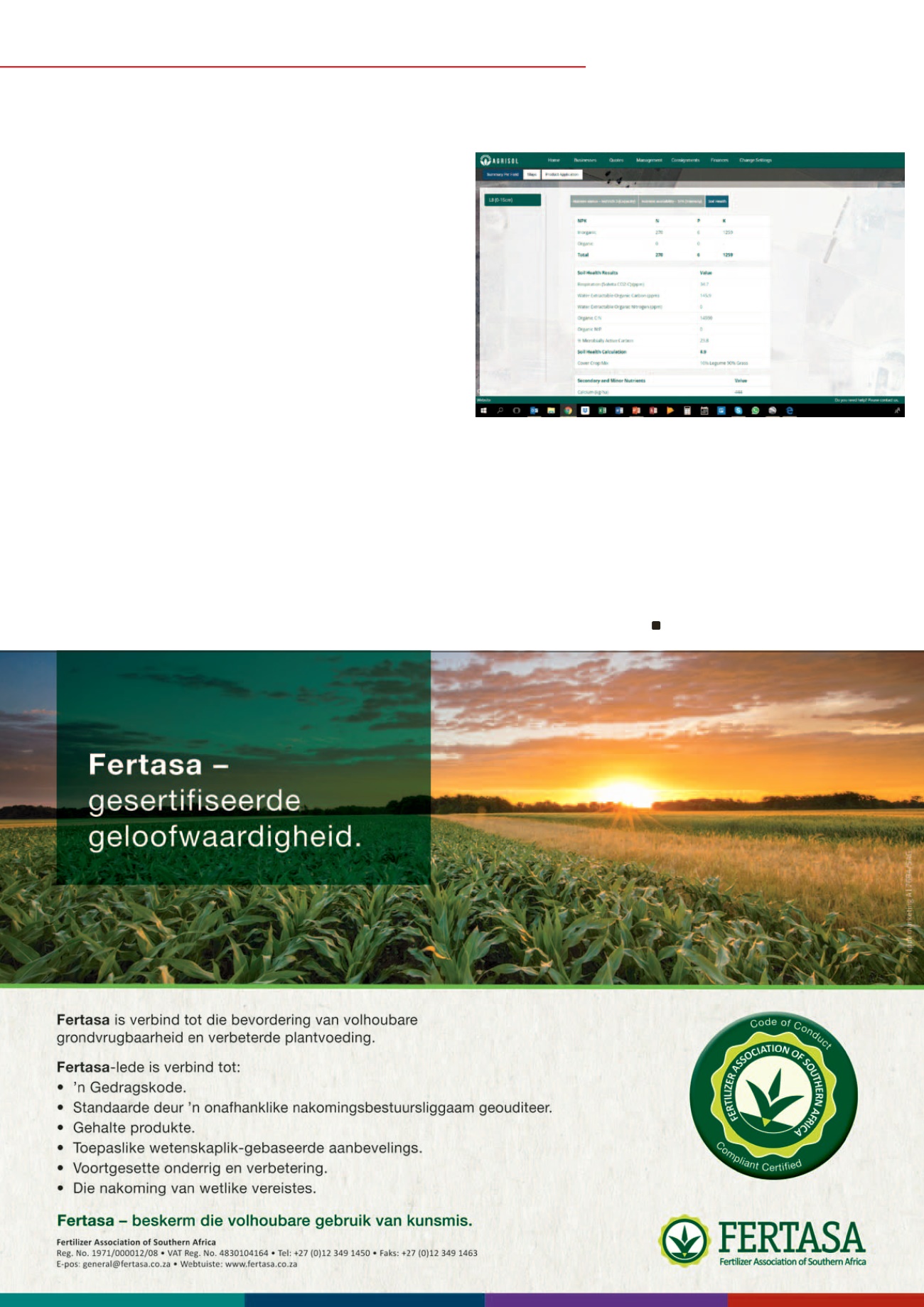 Page Background