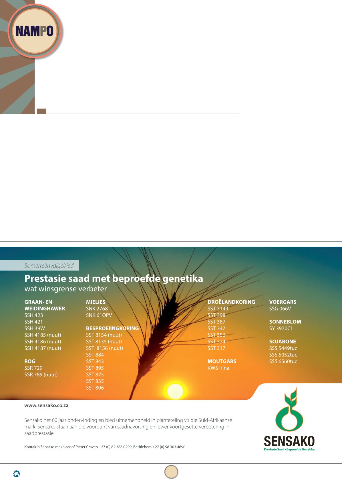 Page Background