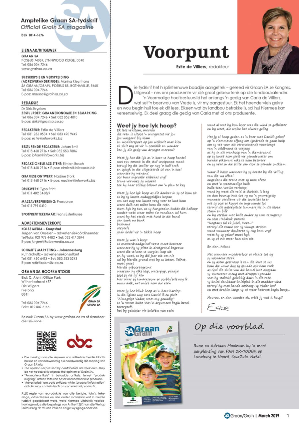 Page Background