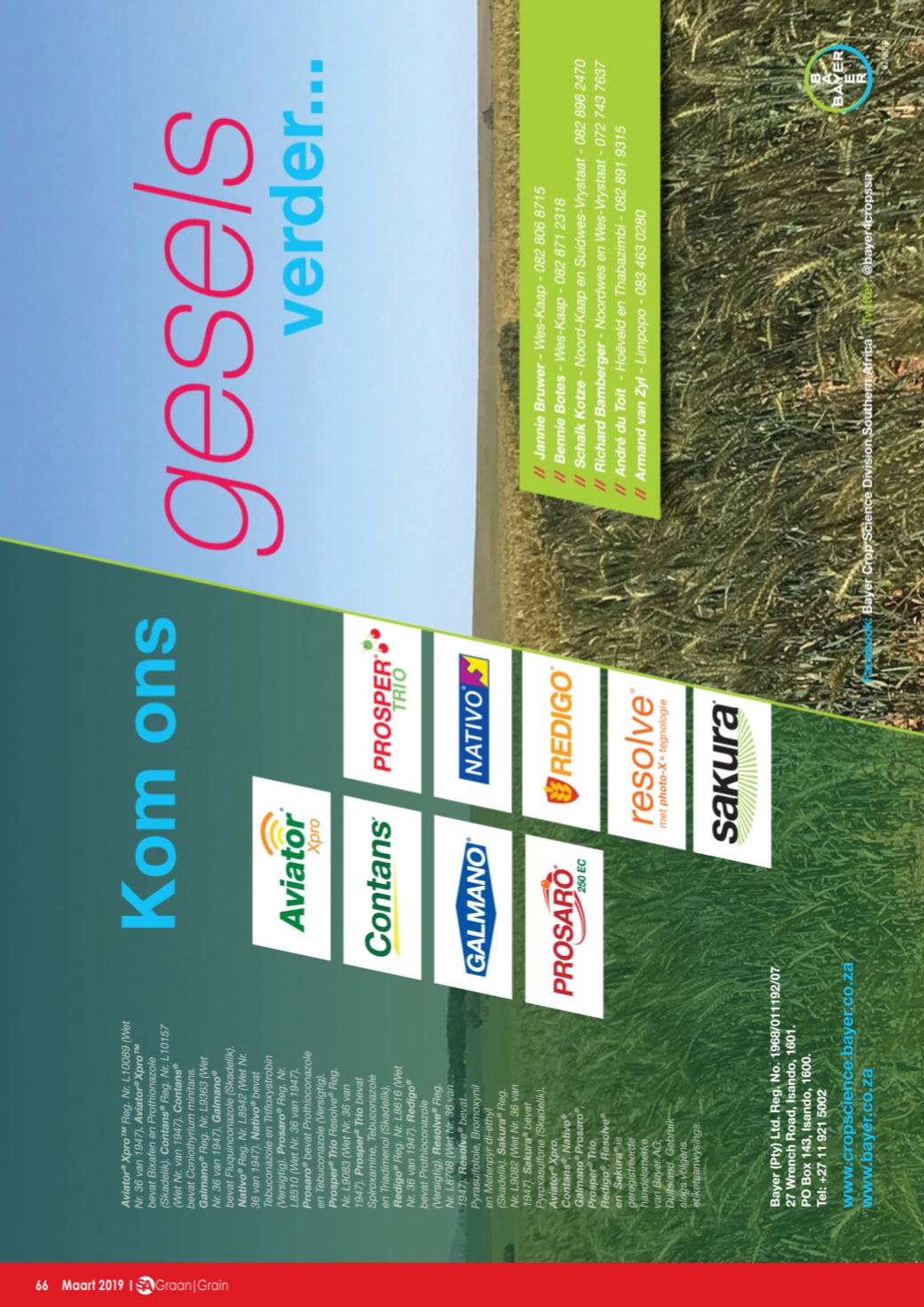 Page Background