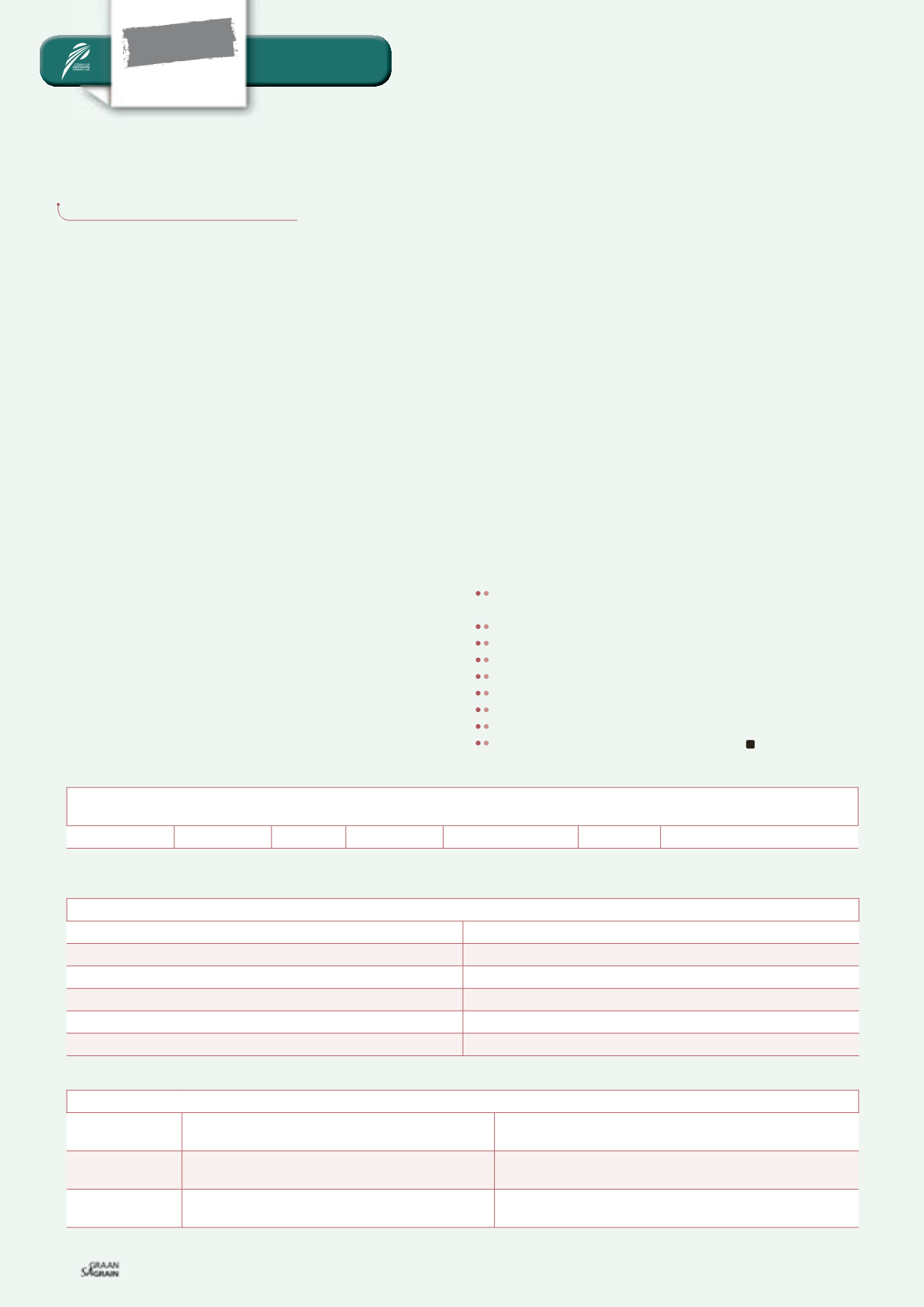 Page Background