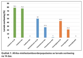 Beheer mieliestamboorders met Bt-mielies