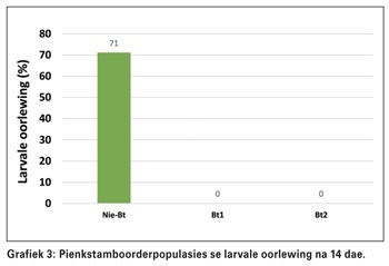 Beheer mieliestamboorders met Bt-mielies