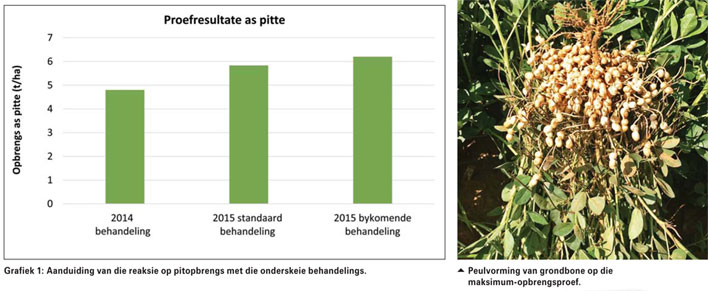 Watter opbrengs kan behaal word met besproeiingsgrondbone?