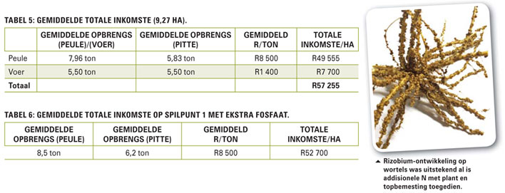 Watter opbrengs kan behaal word met besproeiingsgrondbone?