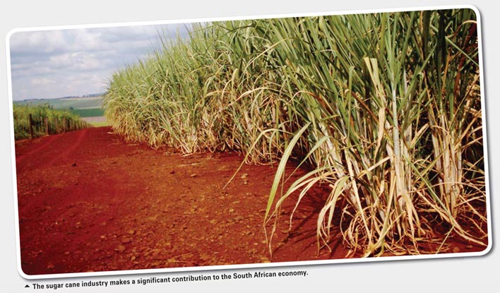 Biogas production potential for South African sugar cane industry