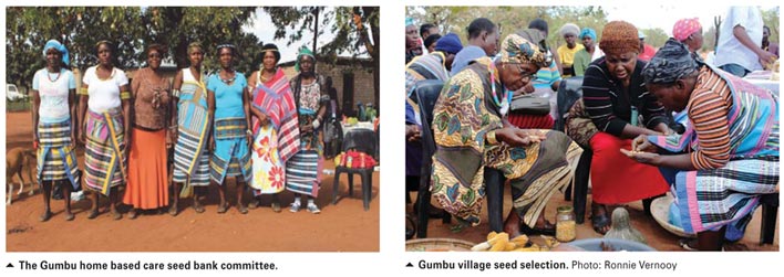 Community seed banks: Farmers' platform for crop conservation and improvement