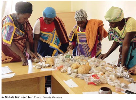 Community seed banks: Farmers' platform for crop conservation and improvement