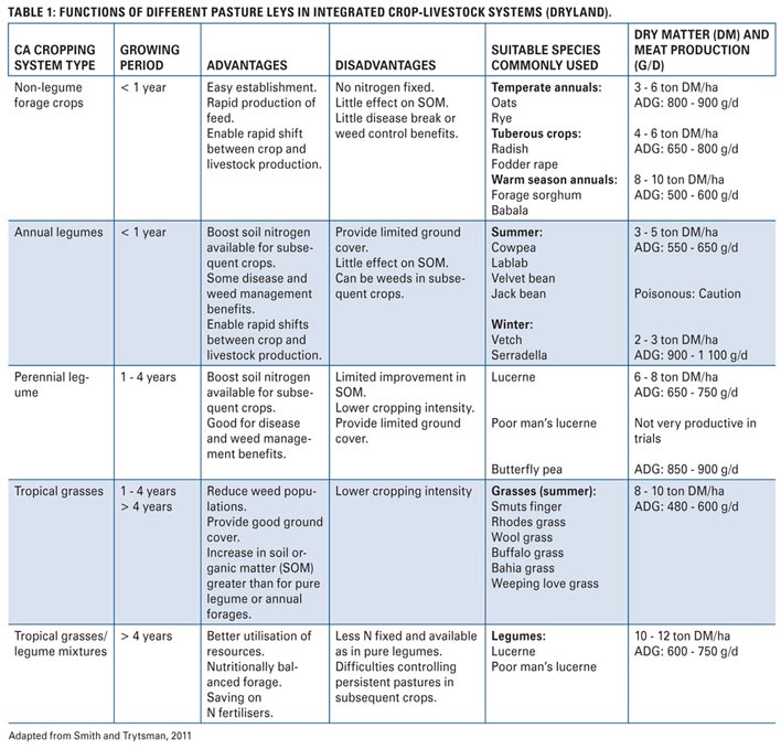 Conservation agriculture