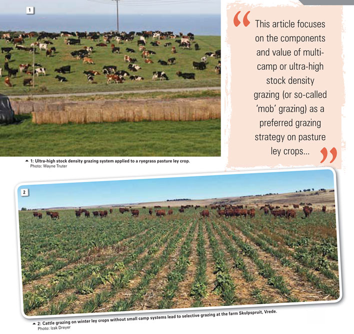 Conservation agriculture: Ultra-high stock density grazing systems