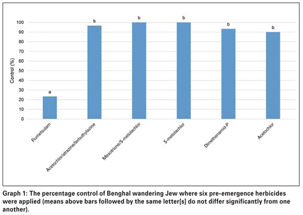 Effective control of Benghal wandering Jew