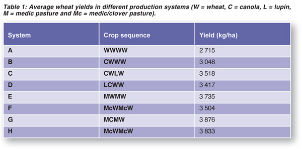 Improve your wheat yield with crop rotation