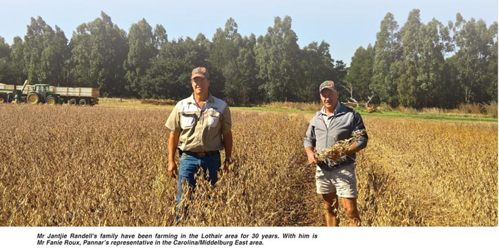 Defeat Sclerotinia with wider rows