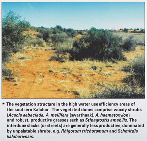 Drylands and rangelands across Southern Africa: Using earth observation to define the most water efficient regions