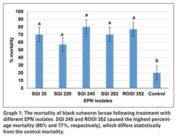 Efficacy of entomopathogenic nematodes for control of cutworms