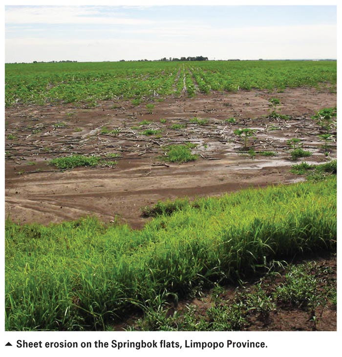 Stages Of Soil Erosion