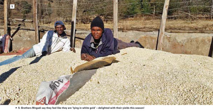 When Grain SA and the Jobs Fund join hands ...and the story of two farmers