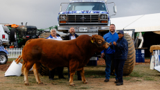 Nampo Kaap / Nampo Cape 2022