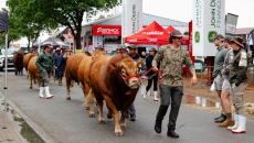 NAMPO Alfa 2023