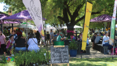 NAMPO Park Kers & Geskenkmark 2024