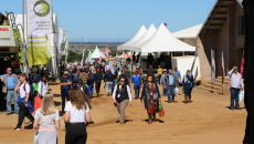 NAMPO Kaap 2019