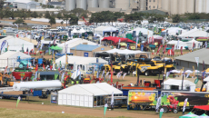 Nampo Kaap / Nampo Cape 2022