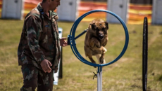 NAMPO Kaap 2025