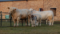 NAMPO 2025