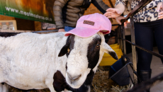 NAMPO 2025