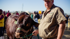 NAMPO 2017