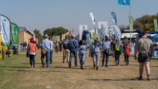 NAMPO 2019