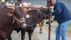 NAMPO 2018