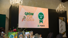 Grow for Gold 2022