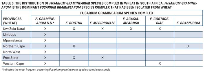 Gibberella on maize, sorghum and wheat