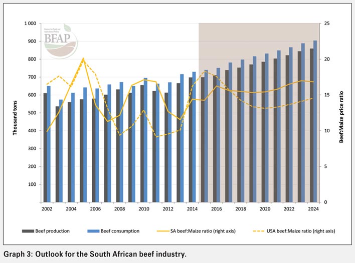 South African beef industry