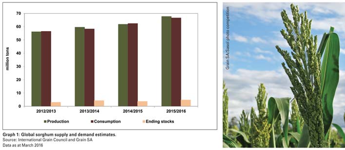 Stark contrast between current domestic and global sorghum markets