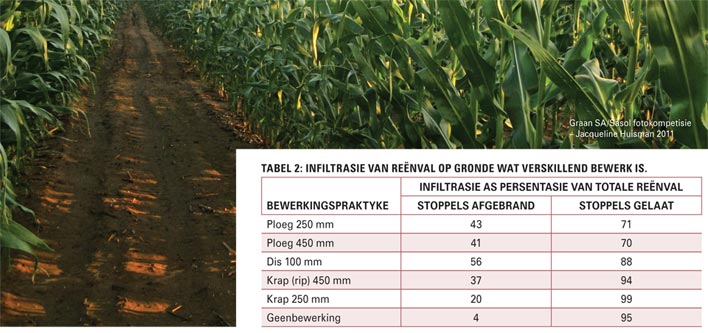 Grondbewerkingspraktyke gerig op maksimum vogbenutting