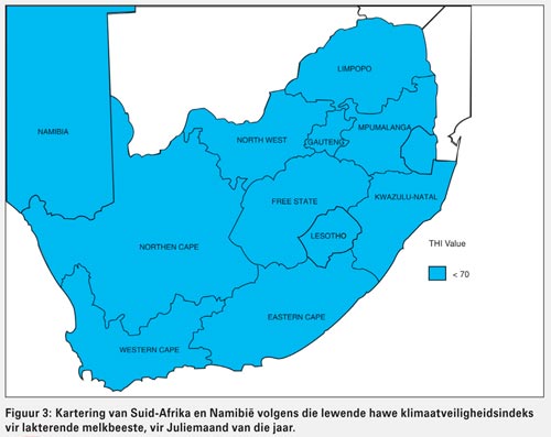 South African beef industry