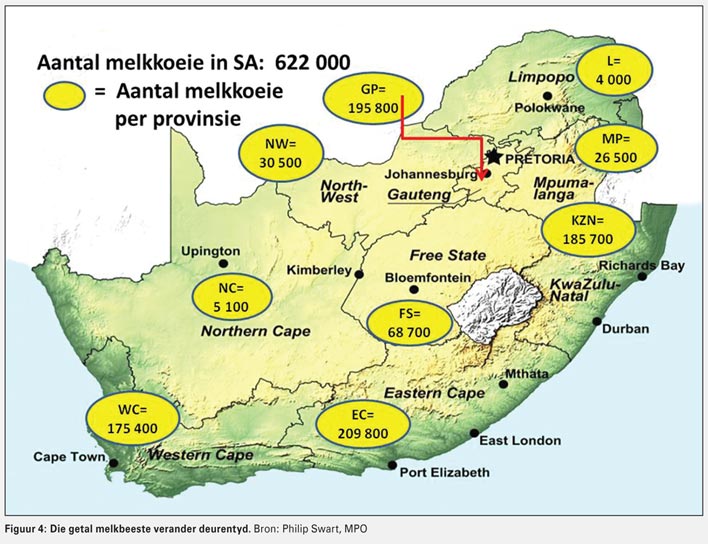 South African beef industry