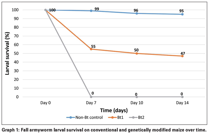 FALL ARMYWORM: Integrated pest management is the answer