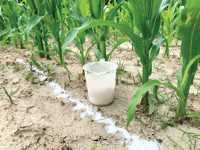 Top shop dressing fertilizer