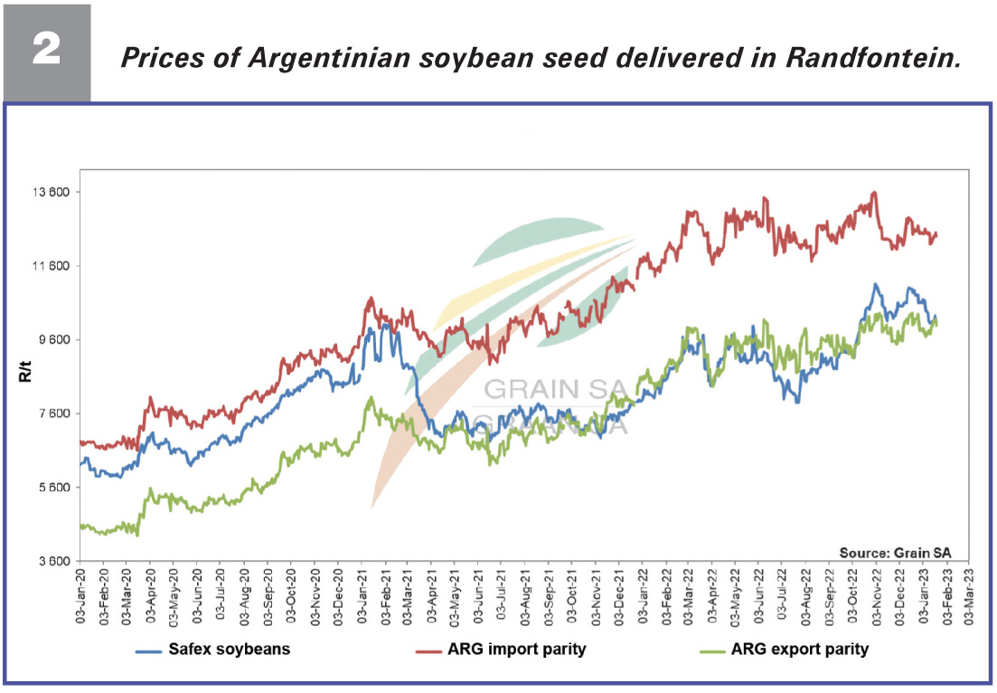 SA soybean prices show an upward trend