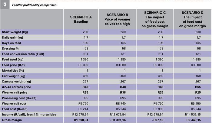 feedlot business plan south africa pdf