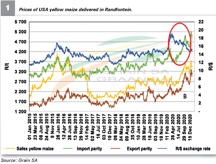 How the maize market functions