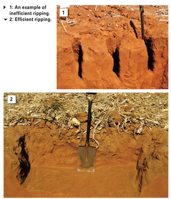 A look at subsoiler or ripper efficiency - SA Grain