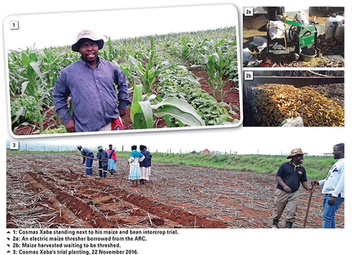 Local best practice options in CA investigated – Case study 2 - SA Grain