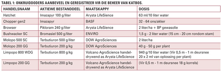 Chemiese beheer van katbos